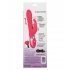 Enchanted Exciter Pink Rabbit Style Vibrator