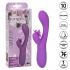 Butterfly Kiss Flutter - Purple Rabbit Vibrator