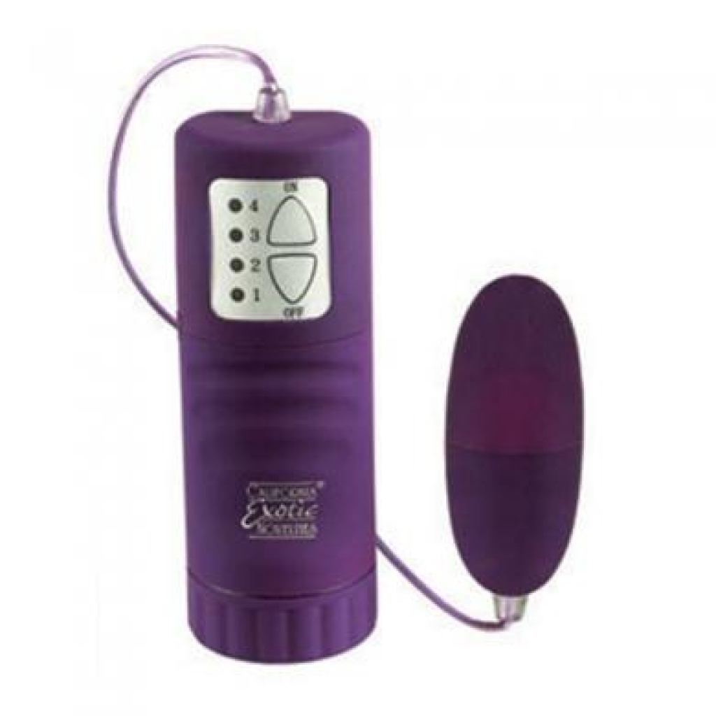 Waterproof Pocket Exotics Bullet - Purple