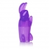 Shanes World Pocket Party Purple Massager