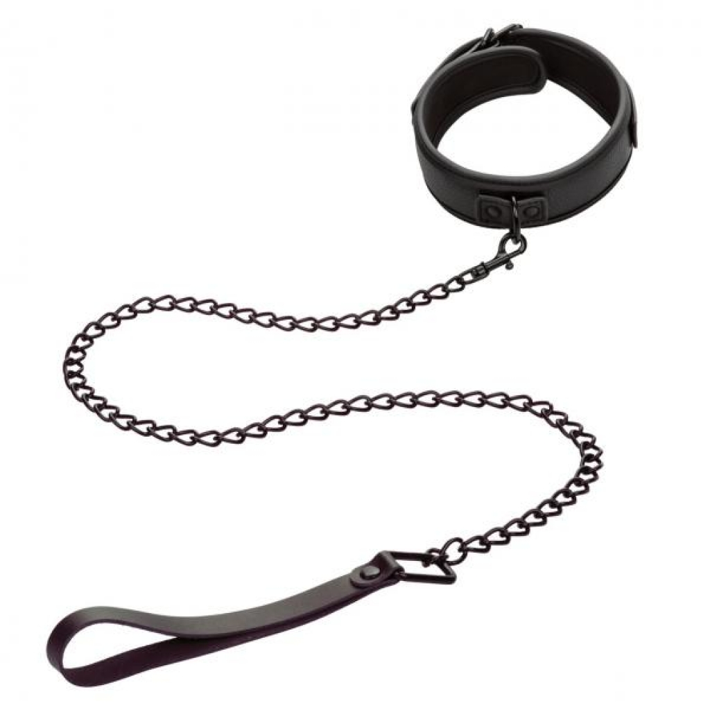 Nocturnal Collection Collar and Leash Set