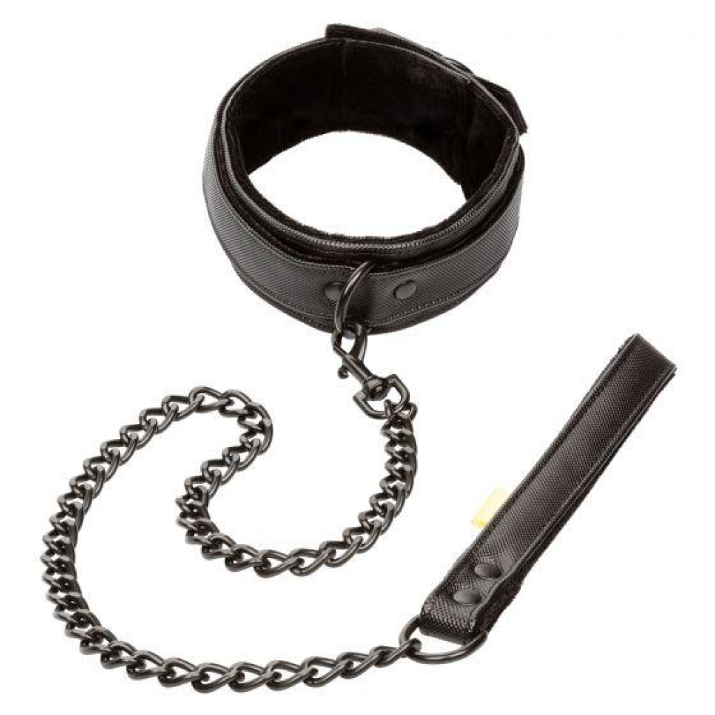 Boundless Collar & Leash Set - Ultimate Restraint and Adventure