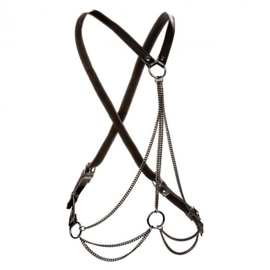 Euphoria Multi Chain Harness Plus Size - Black