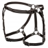 Euphoria Riding Thigh Harness Black