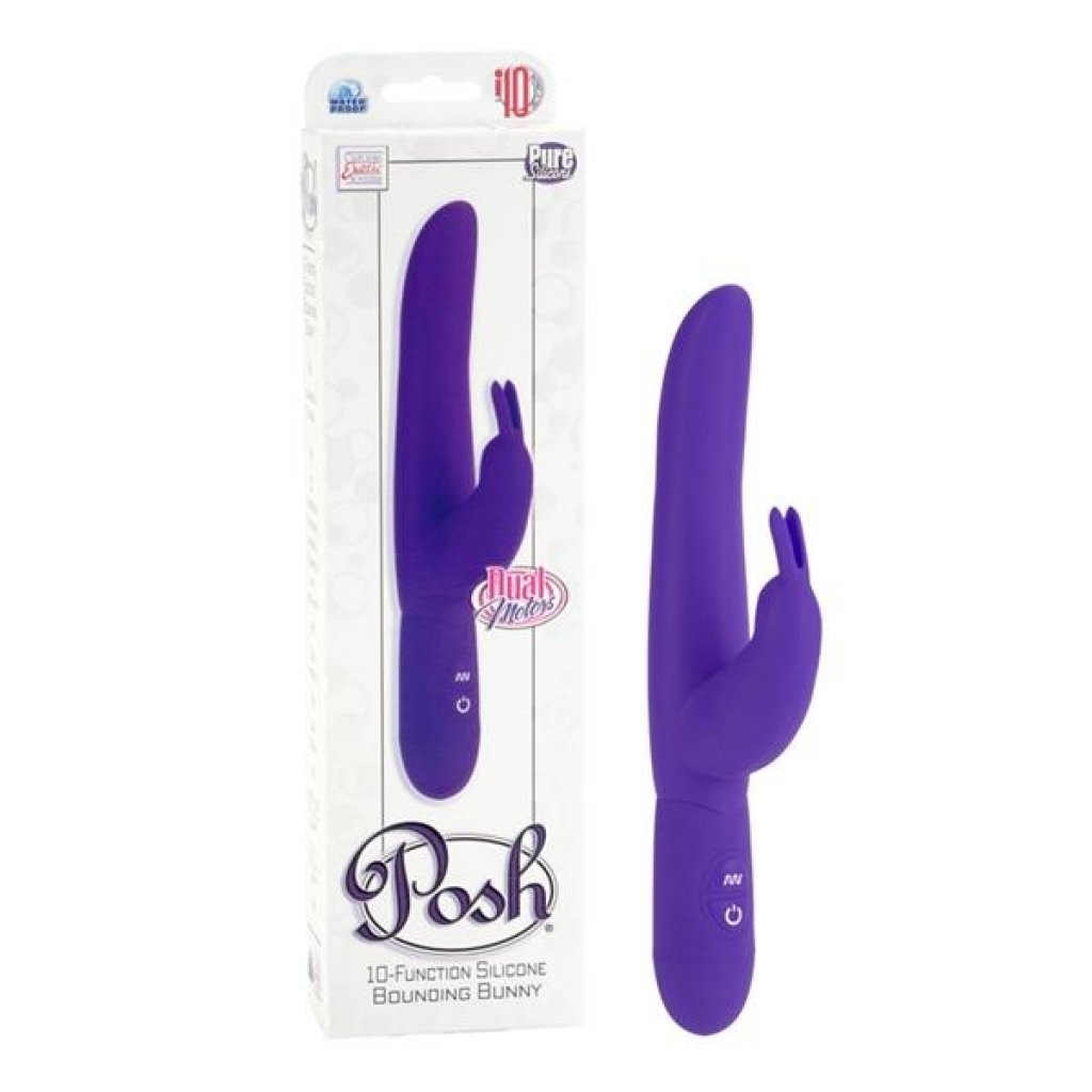 10 Function Bounding Bunny Vibrator - Purple