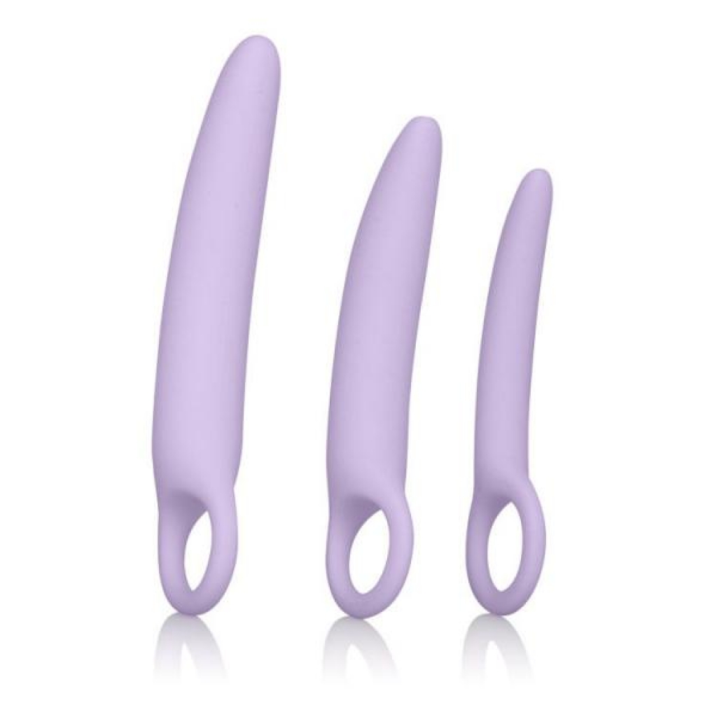 Dr. Laura Berman Alena Set of 3 Silicone Dilators - Purple