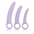 Dr. Laura Berman Alena Set of 3 Silicone Dilators - Purple