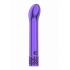 Royal Gems Jewel Purple - Elegant Rechargeable Bullet Vibrator