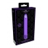 Royal Gems Shiny Purple ABS Bullet Vibrator - Rechargeable