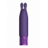 Royal Gems Twinkle Rechargeable Silicone Bullet: Elegant & Powerful - Purple