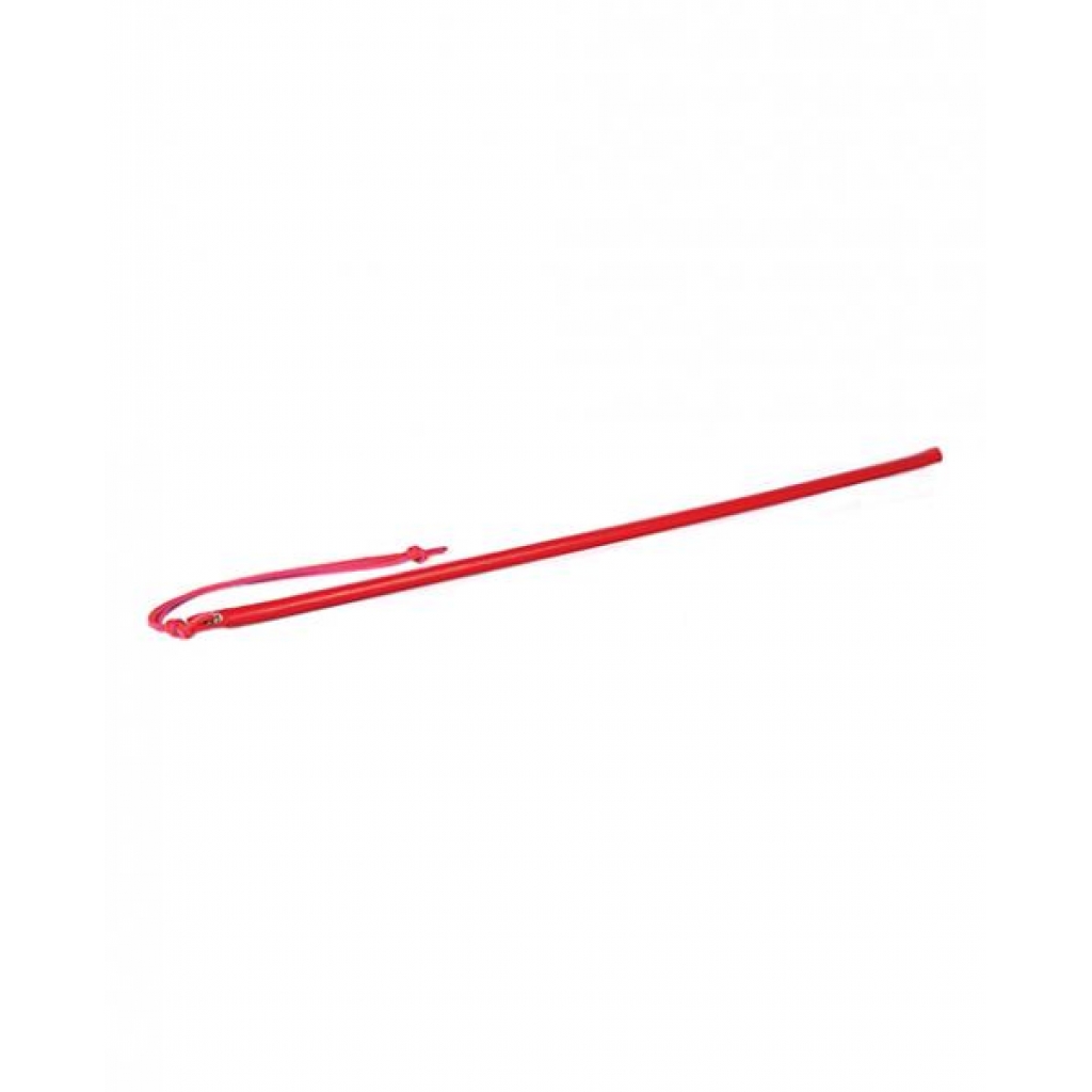 24-Inch Leather Wrapped Cane – Red