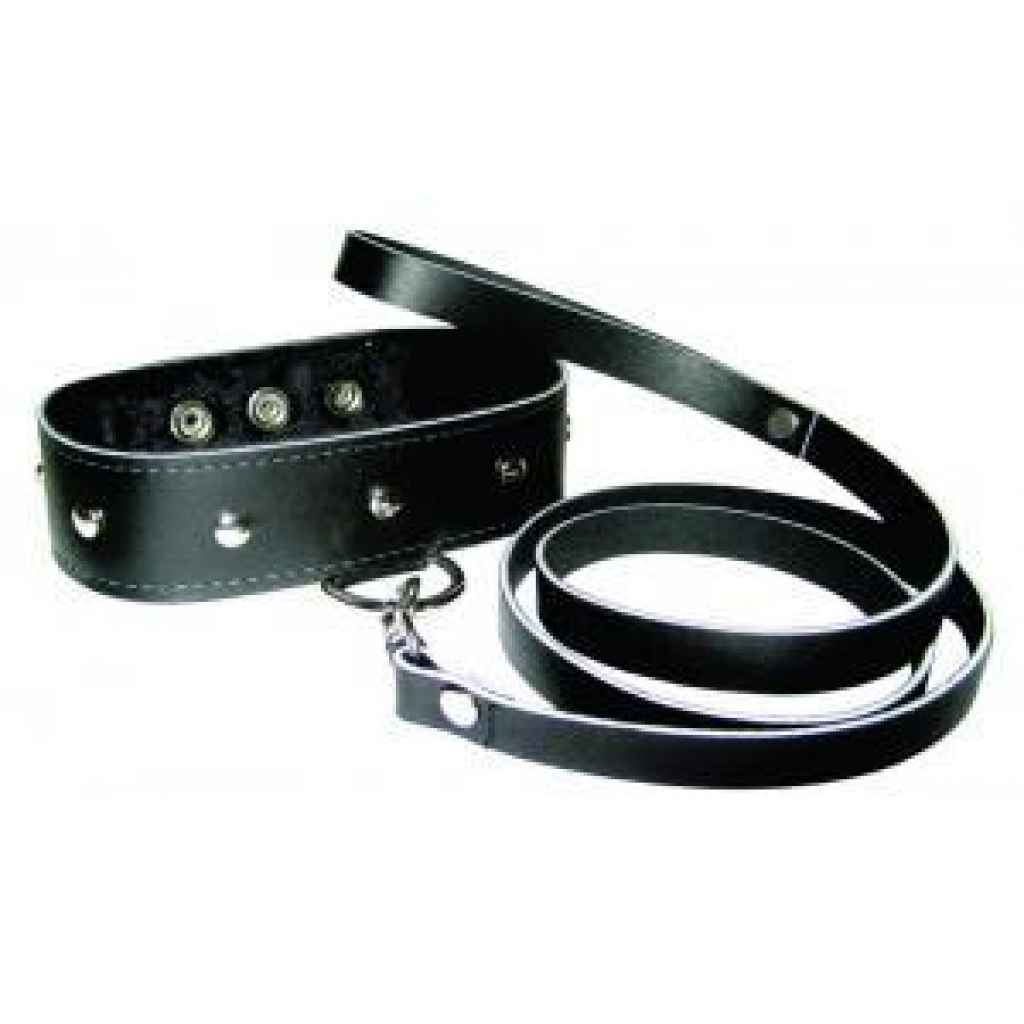 Adjustable Leather Leash & Collar Set - Black