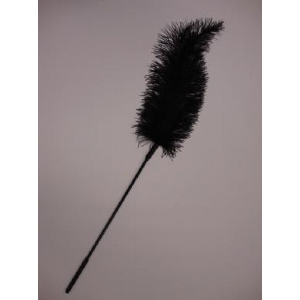 Ostrich Tickler - Sensual Feather Wand - Black