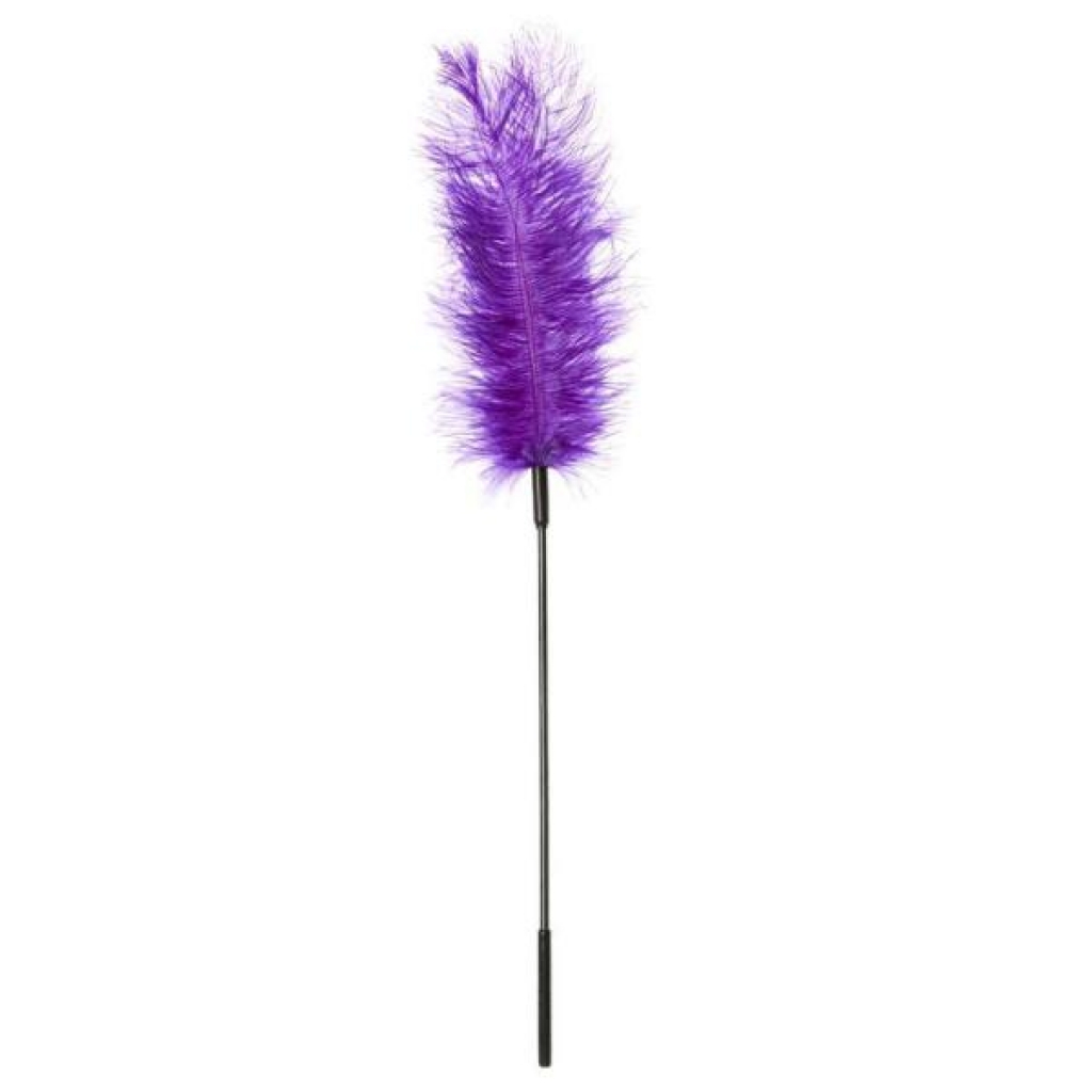 Exquisite Purple Ostrich Feather Tickler