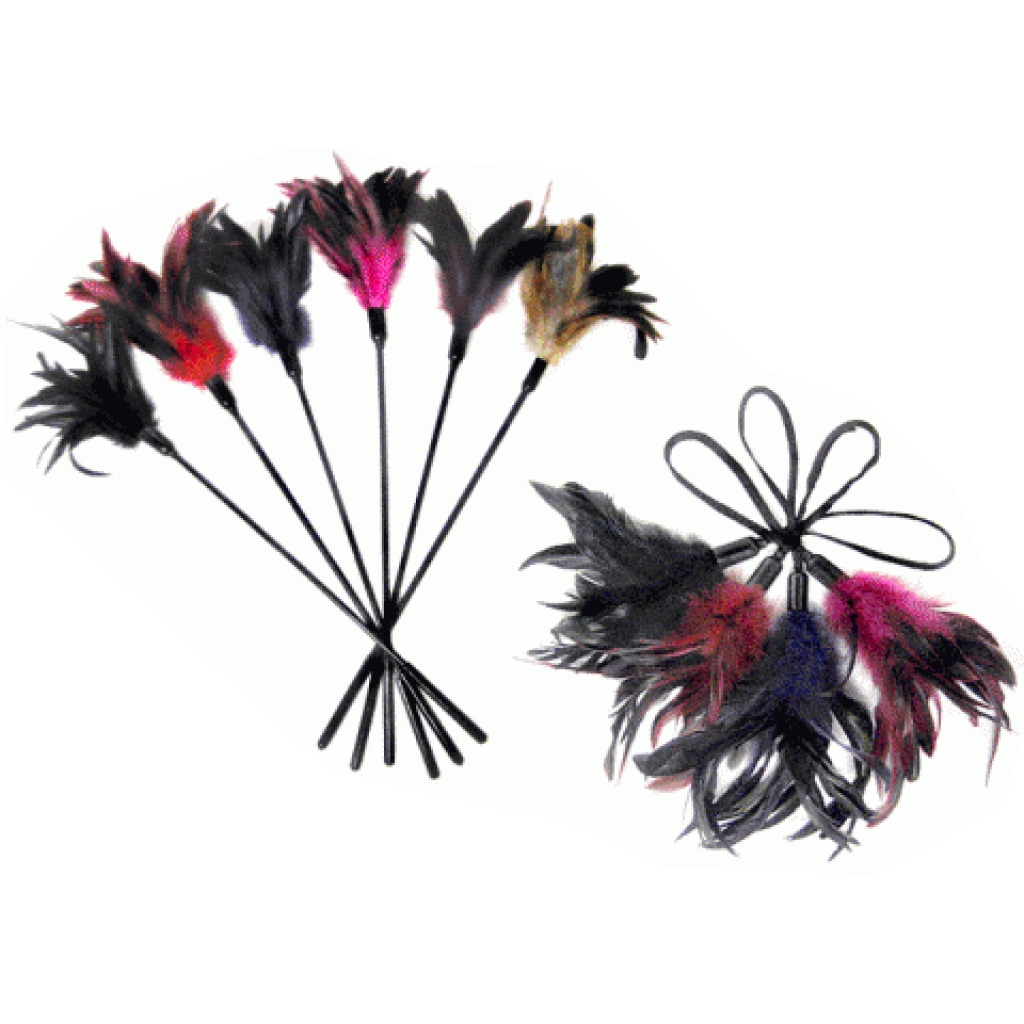 Red Starburst Feather Tickler