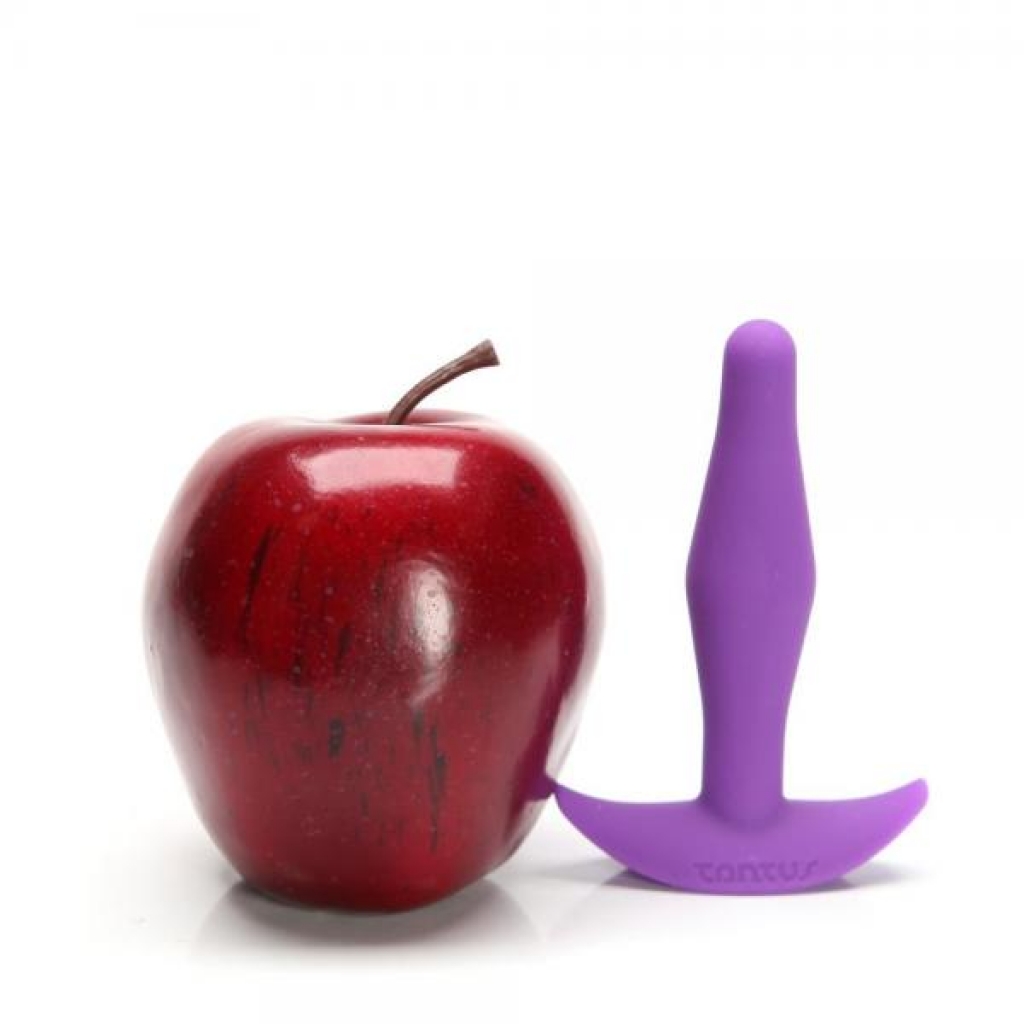 Tantus Little Flirt Purple Anal Plug