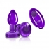 Cheeky Charms Vibrating Metal Plug with Remote - Purple Small