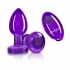 Cheeky Charms Vibrating Metal Plug - Medium with Remote, Purple