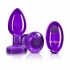 Cheeky Charms Vibrating Metal Plug - Medium with Remote, Purple