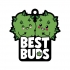 Best Buds Air Freshener - Pine Scent