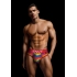 Envy Men's Rainbow Pride Briefs - Red L/XL