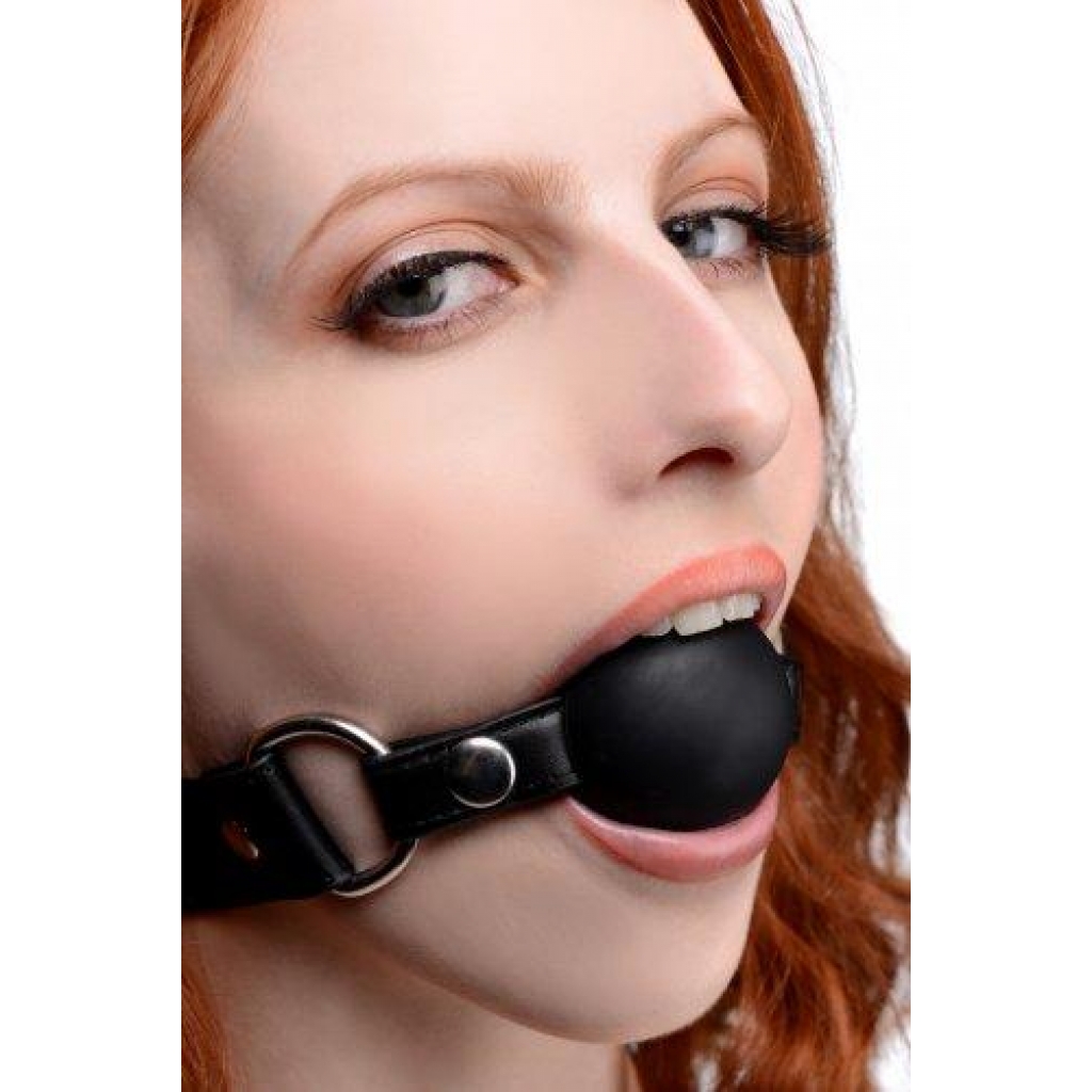 Strict Interchangeable Silicone Ball Gag Set - Black One Size Fits Most