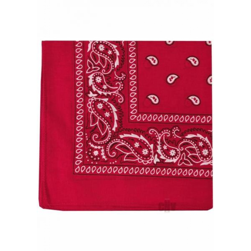 Prowler Red Hanky - Kink Flag