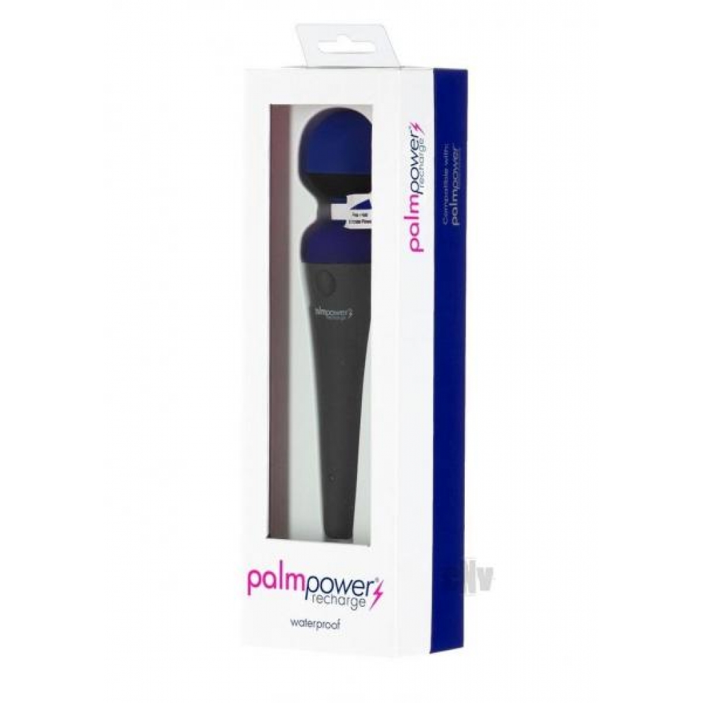 Palmpower Recharge Massager - Blue