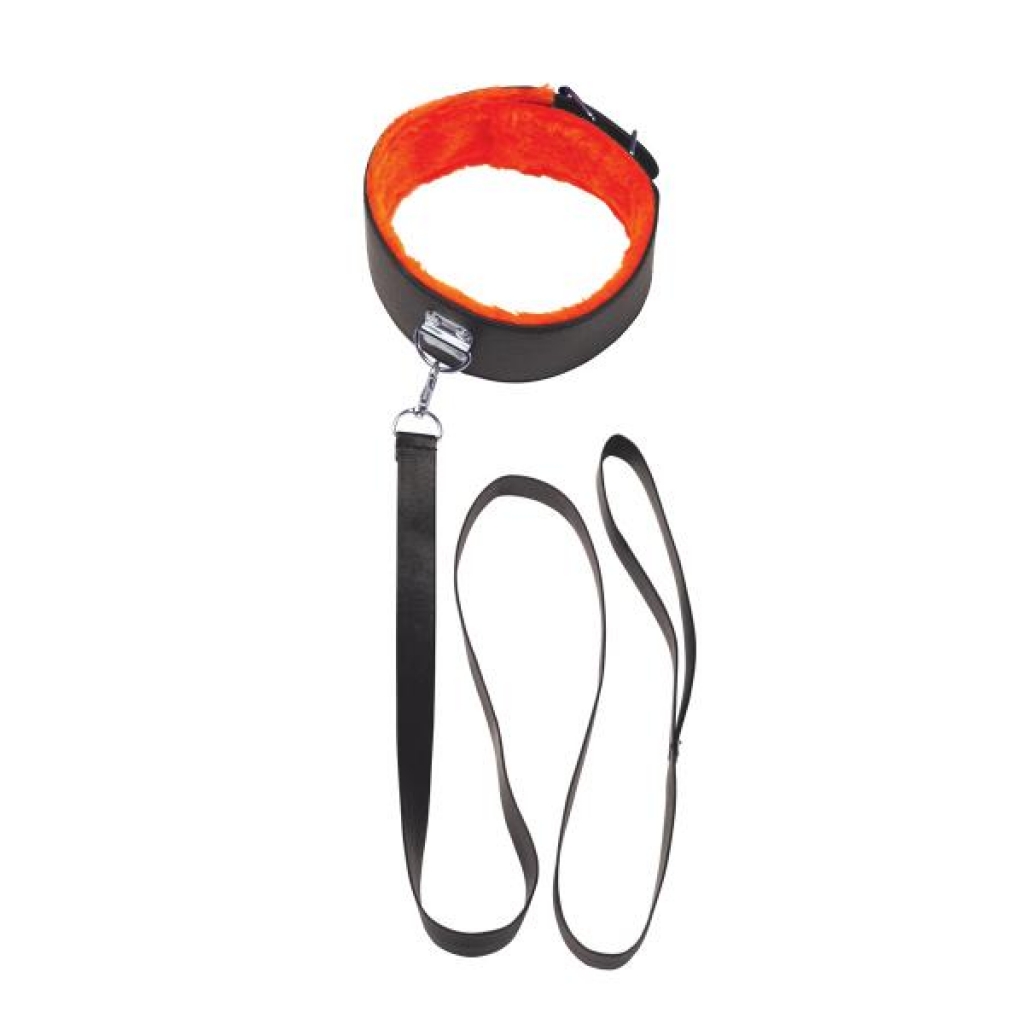 Charming Black & Orange Short Leash