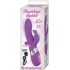 Sleek Ravishing Rabbit Vibrator – Purple.