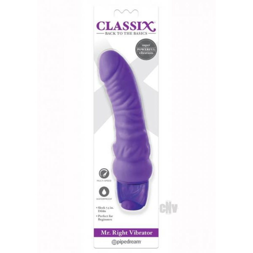 Mr Right Classic Vibrator - Purple