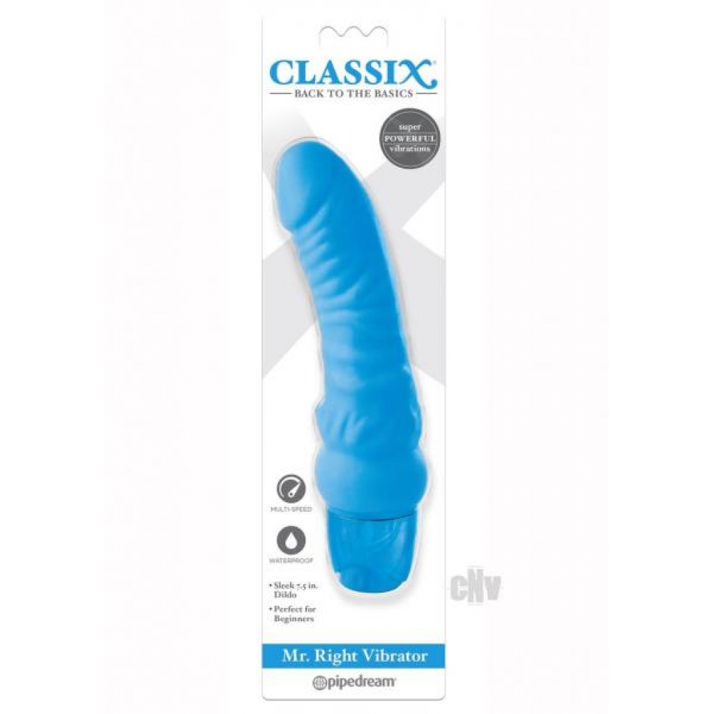 Mr Right Vibrator - Blue