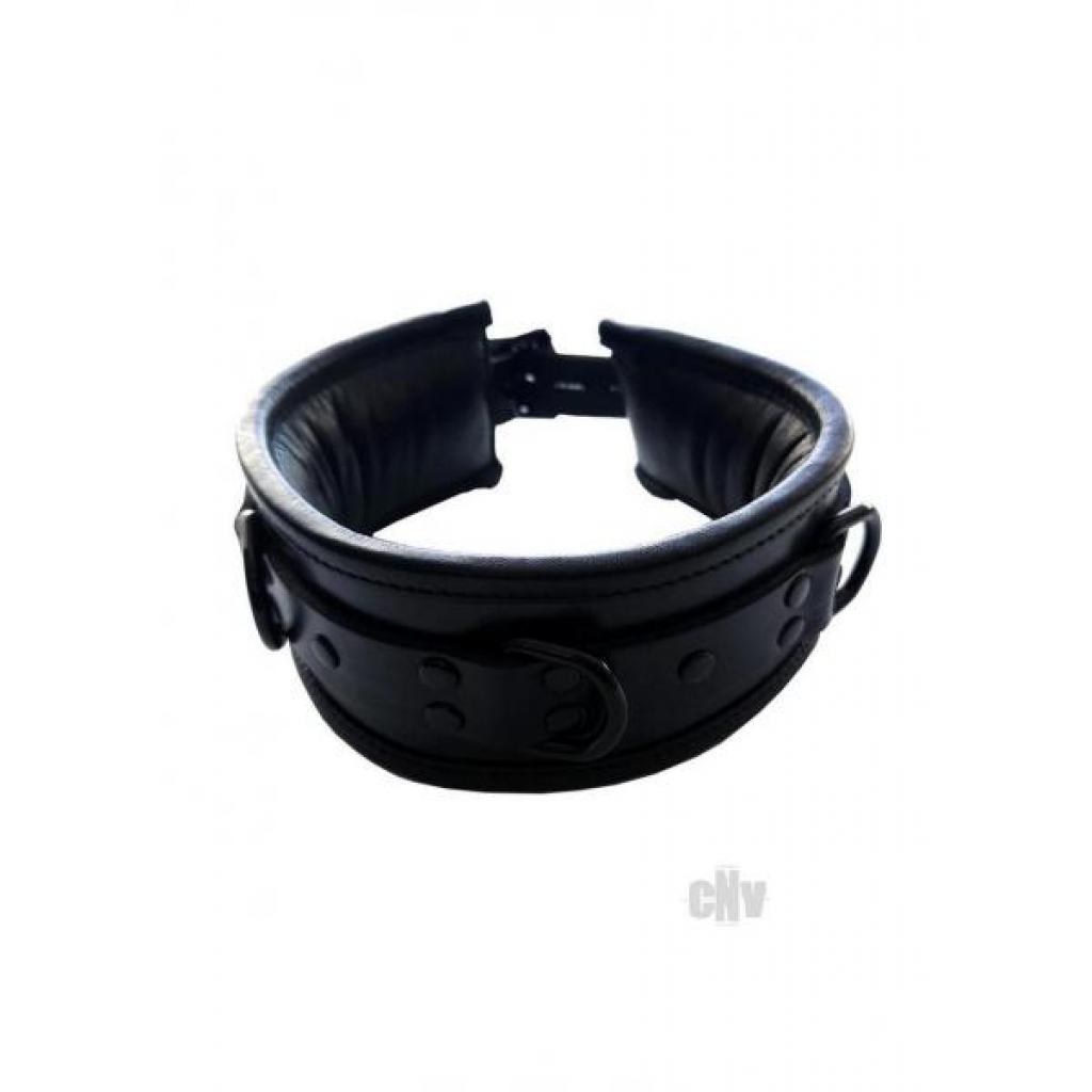 Luxury Padded Leather Collar - Black