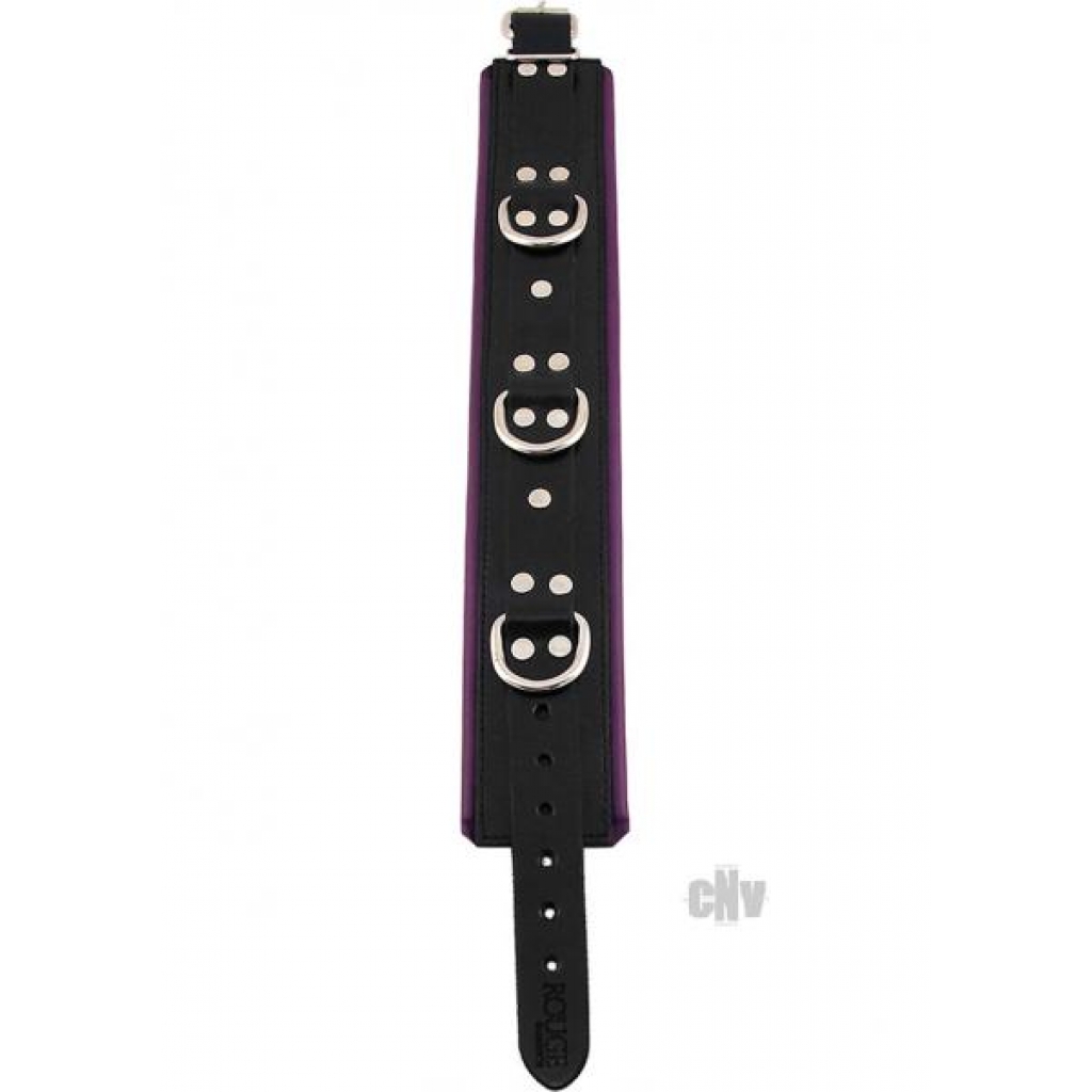 Rouge Padded Collar - Black/Purple