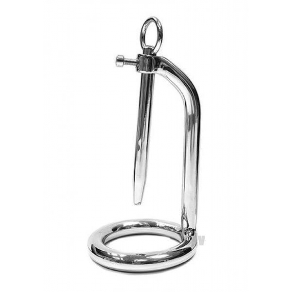 Chastity Cock Ring & Urethral Probe - Stainless Steel