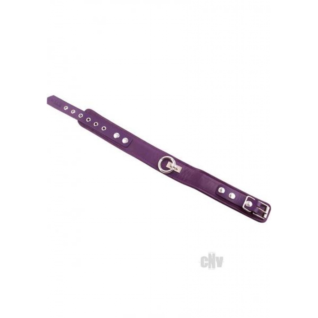 Rouge Plain Collar 1 Ring Purple