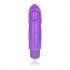 Zingers Personal Massager - Waterproof Purple Vibrator