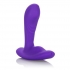 Silicone Remote Pinpoint Pleaser - Luxurious Purple Plug