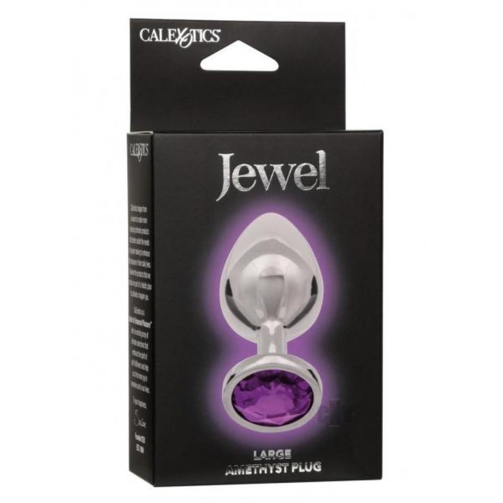 Jewel Large Amethyst Plug - Luxurious Purple/ Silver