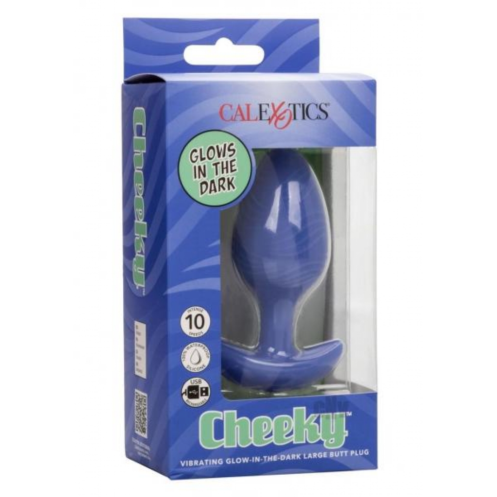 Cheeky Vibrating Gitd Plug Lg Purple Blue