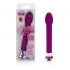 10 Function Risque Tulip Vibrator - Purple