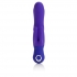 Posh Silicone Dual Dancer Vibrator - Purple