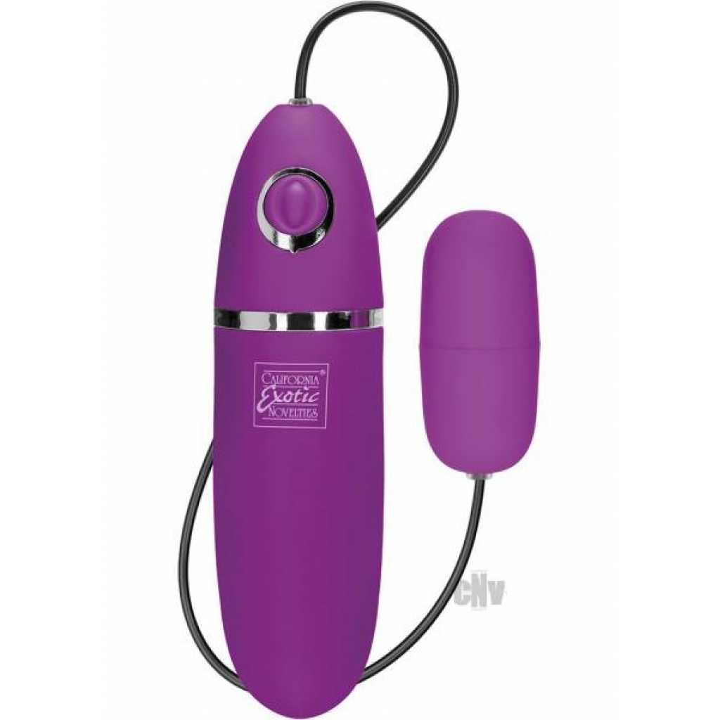 Playful Bullet Purple Vibrator