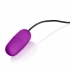 Playful Bullet Purple Vibrator