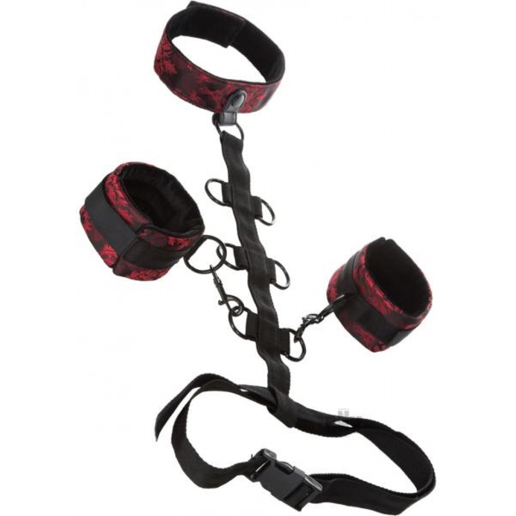 Scandal Collar Body Restraint Red