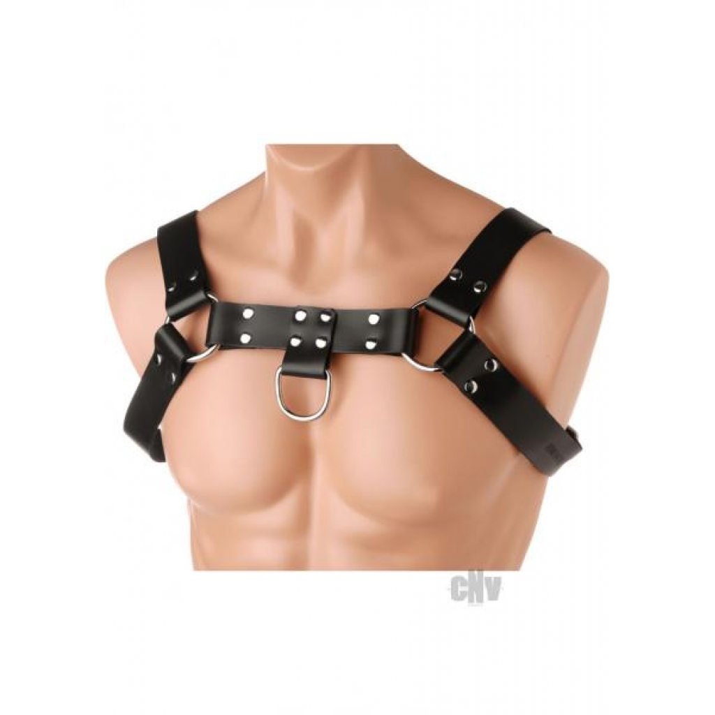 English Bull Dog Harness - Black Leather