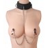 Submission Collar and Nipple Clamps Silver - BDSM Essentials