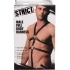 Male Full Body Harness in Black Leather