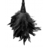 Frisky Feather Duster - Black