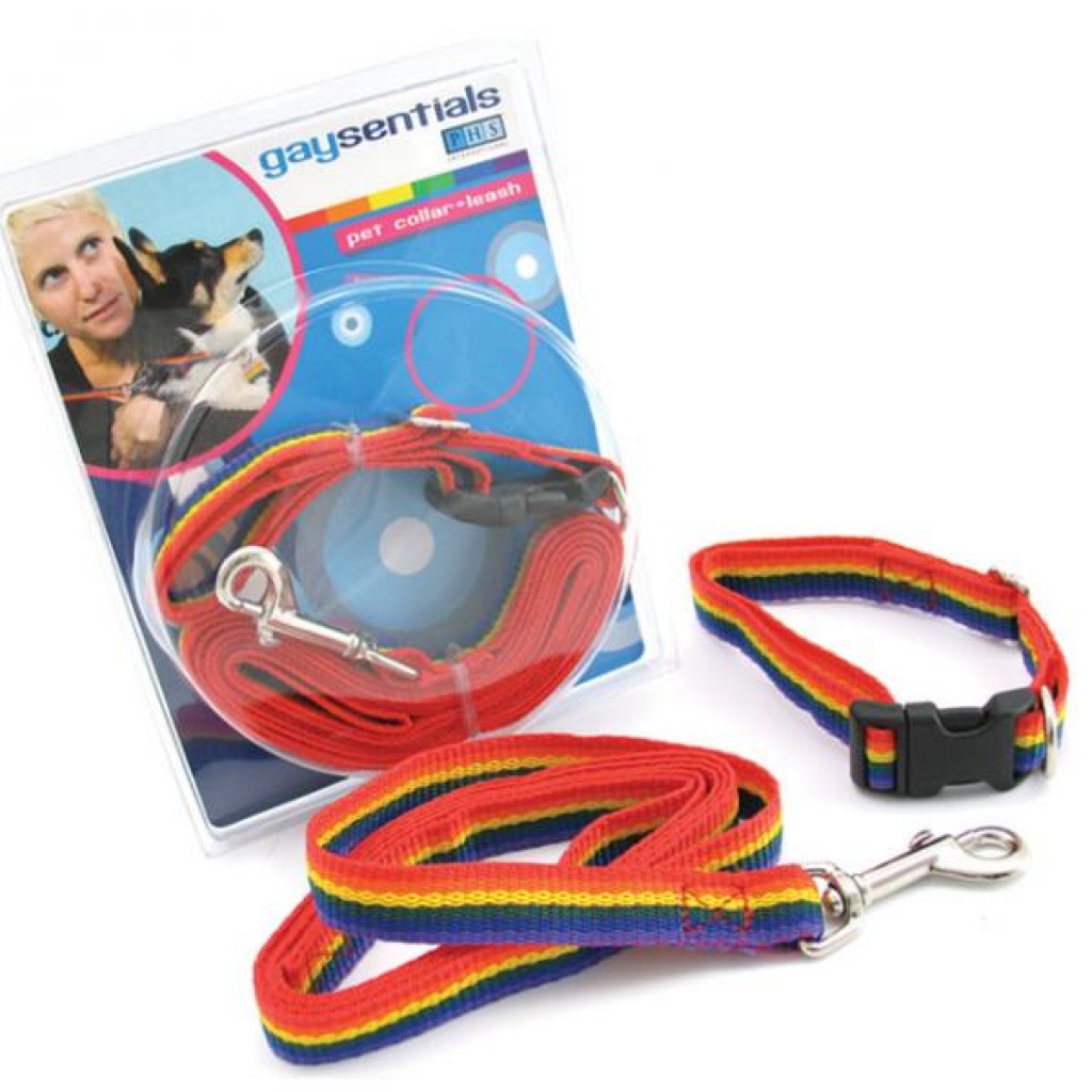 GS Pet Combo Leash/Collar - Medium